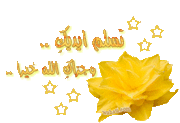 مُلهِمة الأحلام...............للشاعر / علاء فاروق عبيد 91850